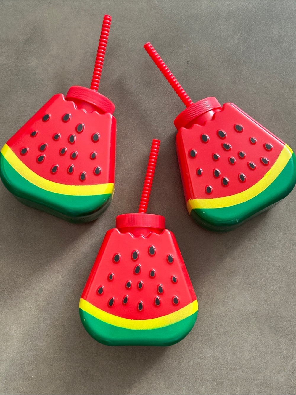 Red Watermelon Party Drink Bottles Cups with Straws
